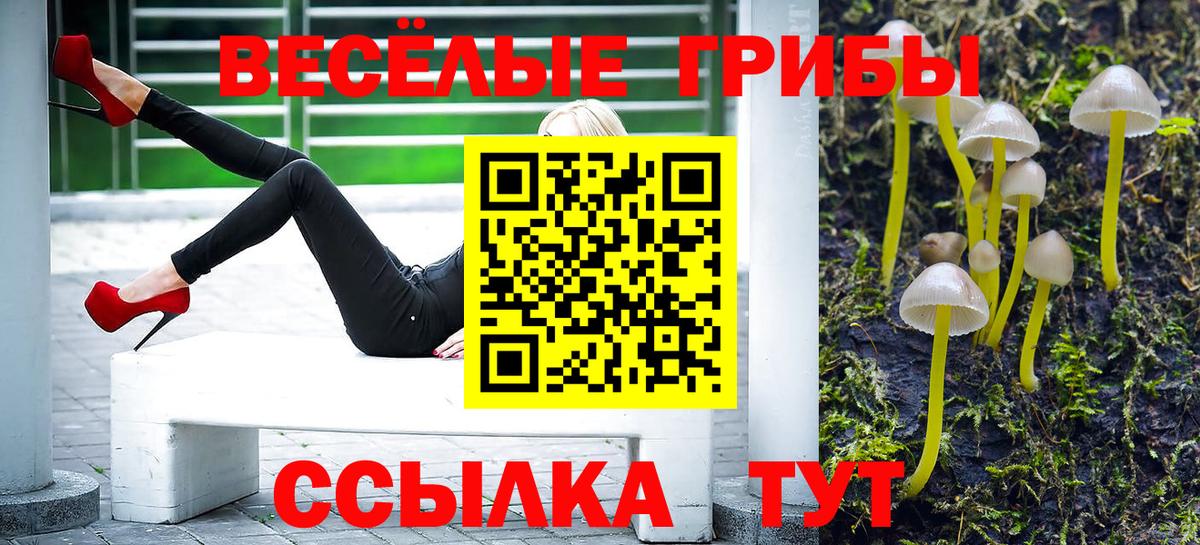 Можайск  Галлюциногенные грибы мухоморы  Вход с VPN  Псилоцибиновые грибы Cubensis 