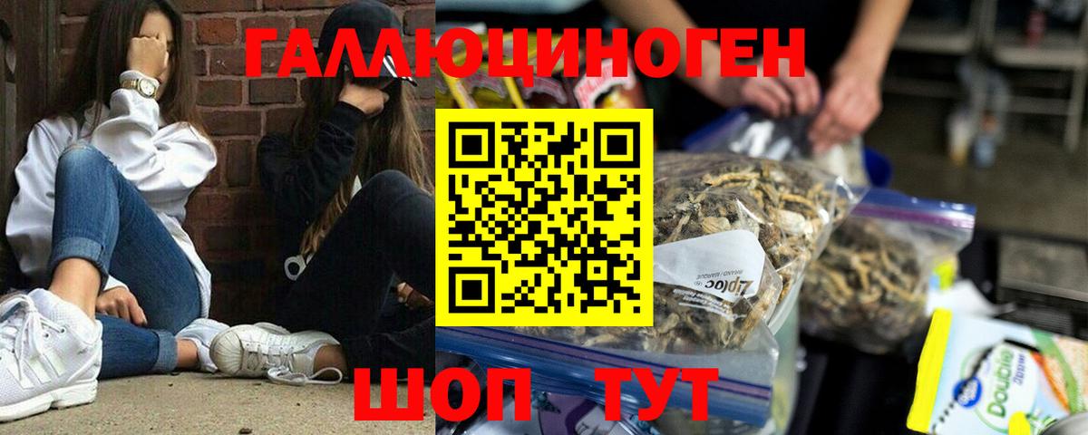 Галлюциногенные грибы мицелий Можайск
